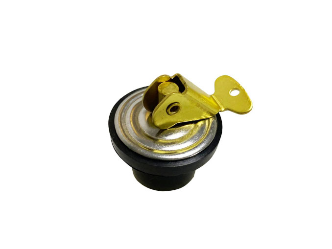 Baitwell Plug